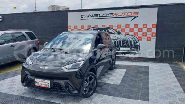 BYD Seagull 2025