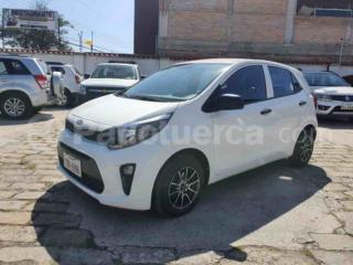 Kia PICANTO LX 2019