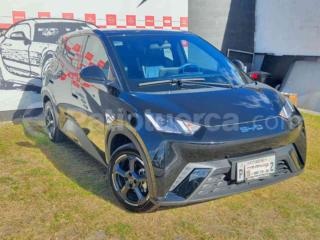BYD Seagull 2025